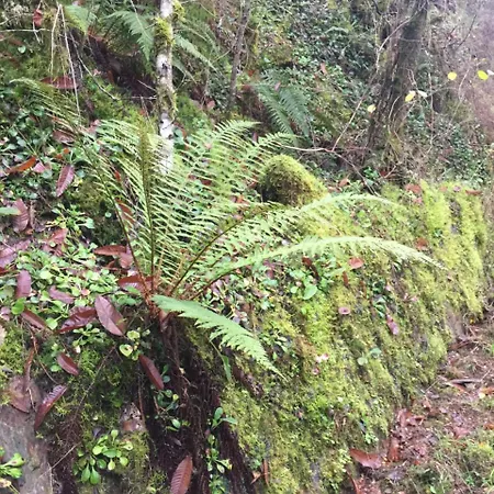 Hotel Celanova 2* Celanova