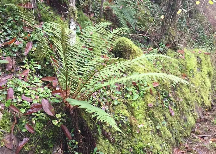 Hotel Celanova 2* Celanova